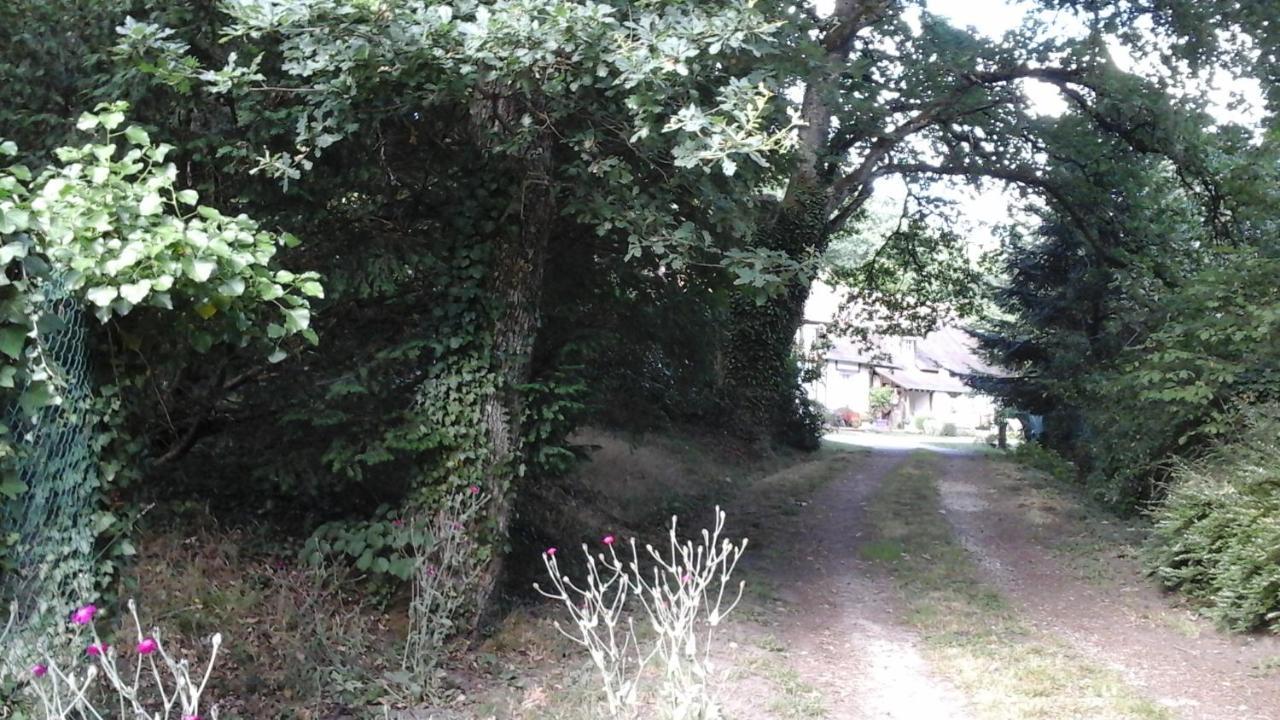 Les Grandes Oreilles Vierzon Buitenkant foto